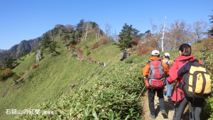 石鎚山の紅葉（愛媛県）