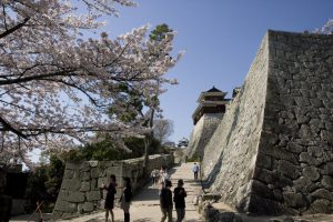 長者ヶ原を登ると天守閣が見える。人気のフォトスポット