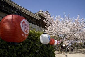 松山城は松平家（久松家）