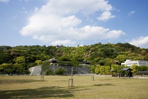 新緑の松山城