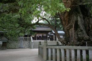 歴史ある大山祇神社、境内横に宝物館がある。