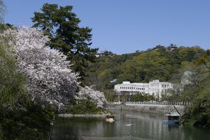 春、お濠の桜も美しい