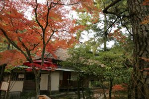 明治初期に建てられた石州流の茶室、日暮亭と紅葉。