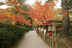 明治初期に建てられた石州流の茶室、日暮亭と紅葉。のんびり散策しよう。