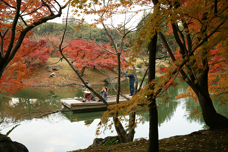 タカオモミジが植えられた楓岸、紅葉と南湖もきれいに見える。