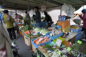 季節の野菜がいっぱい。