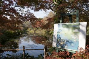 モネが愛した睡蓮の庭「水の庭」、睡蓮の花もきれいだが紅葉もきれい。