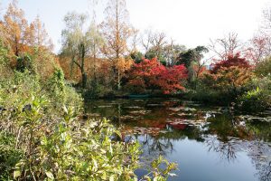 紅葉の「水の庭」絵画のような美しさ。