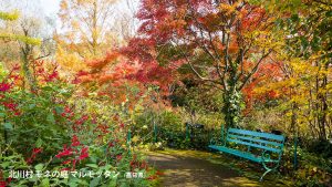 高知県、北川村　マルモッタン　モネの庭