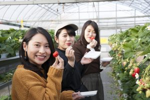 うれしい時間制限なし、食べ放題