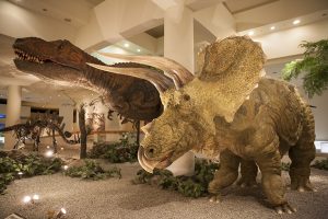 巨大なティラノサウルスとトリケラトプス