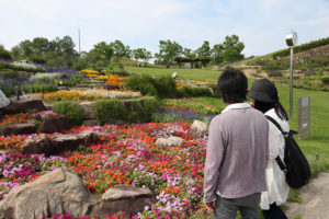 園内には季節ごとに様々な花が咲き誇る