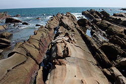 竜串海岸の奇岩