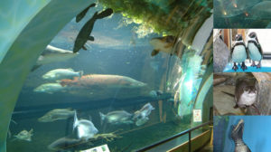 虹の森公園・おさかな館