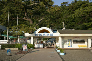 桂浜水族館やお土産店、土佐闘犬も見学できる