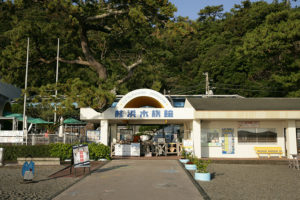 桂浜水族館やお土産店、土佐闘犬も見学できる