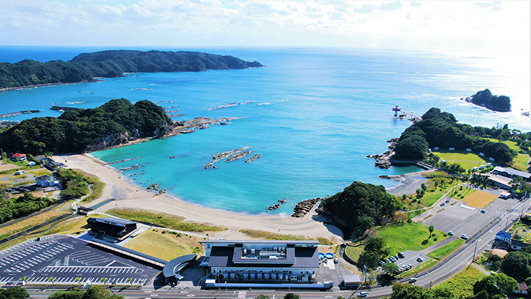 土佐清水市沖合から室戸の深海まで生き物が展示されている