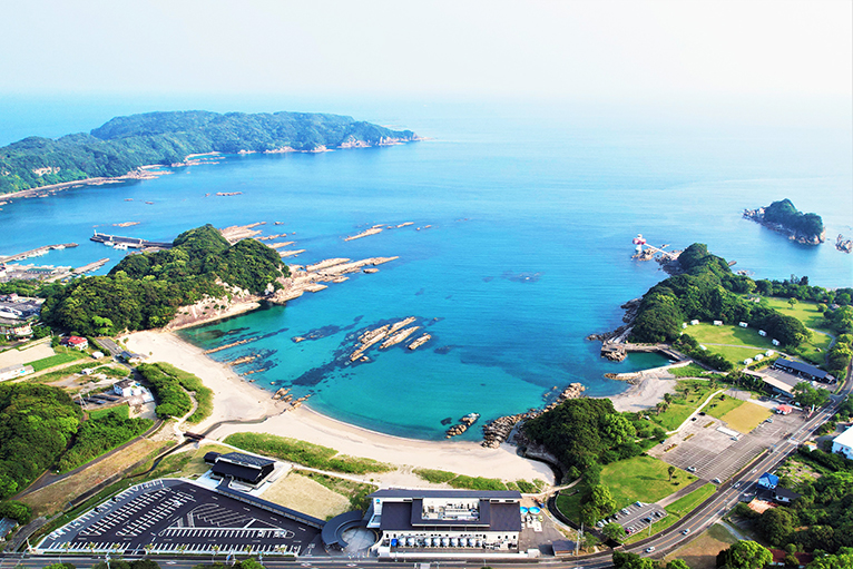 海洋館SATOUMIと竜串湾