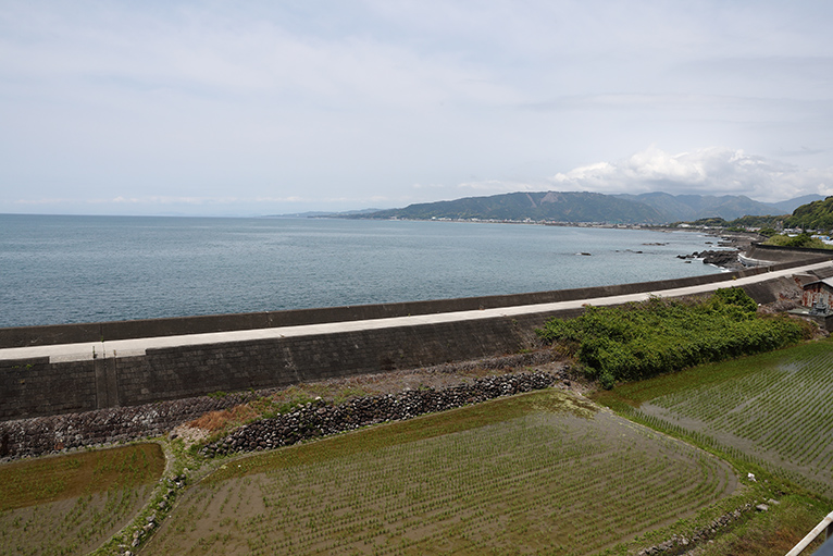 オープンデッキから田園風景や青い太平洋、眩しい太陽、潮風と体験できる