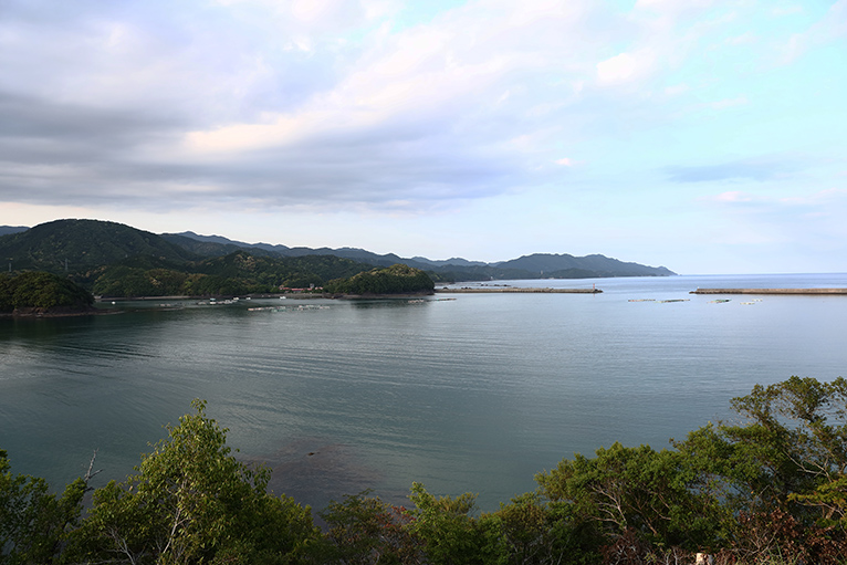 キャンプ場から美しい海が見える