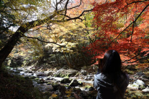 紅葉の写真を１枚