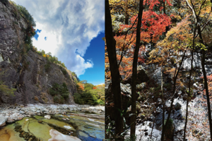 面河渓・小田深山