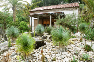 モネの地中海の世界が再現されたボルディゲラの庭