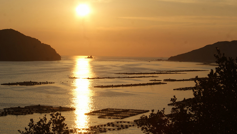 キャンプ場から見える夕日は美しい