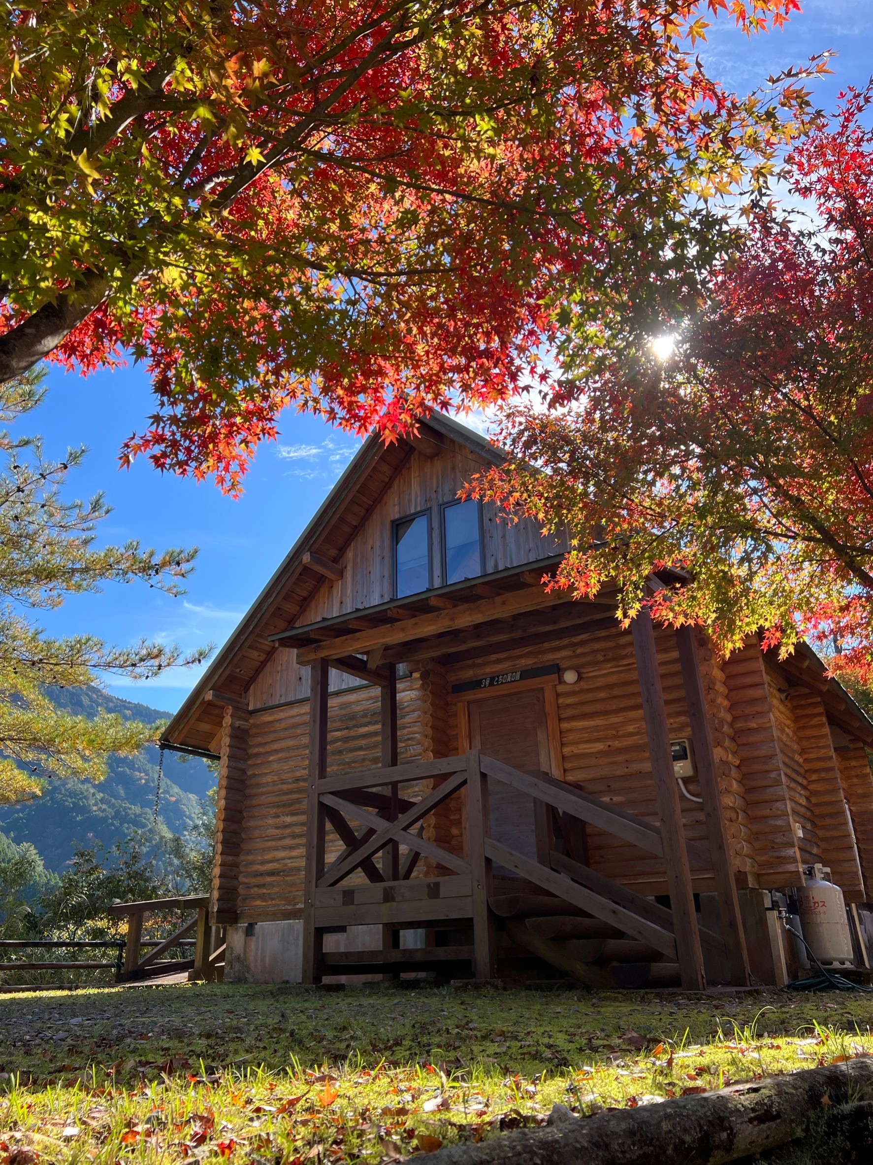 季節ごとに新緑と紅葉も美しい