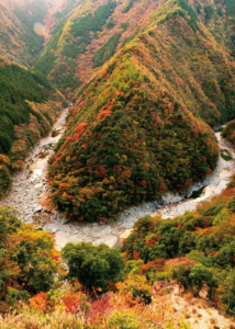 祖谷川が蛇行する絶景「ひの字渓谷」と紅葉