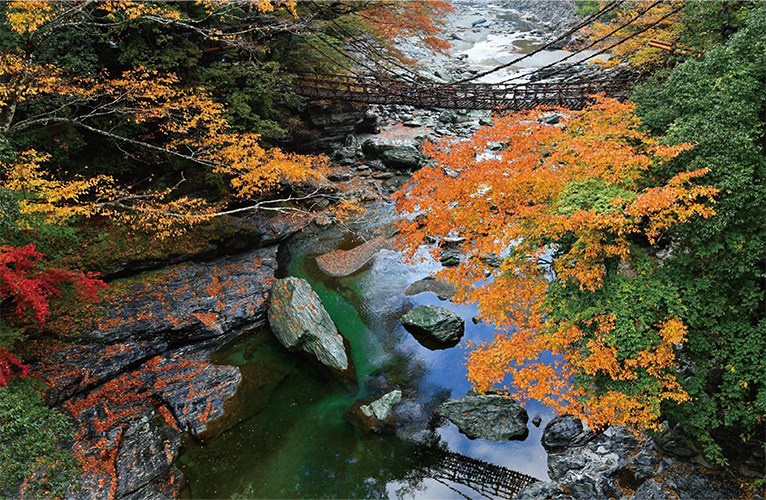 紅葉に包まれた祖谷のかずら橋